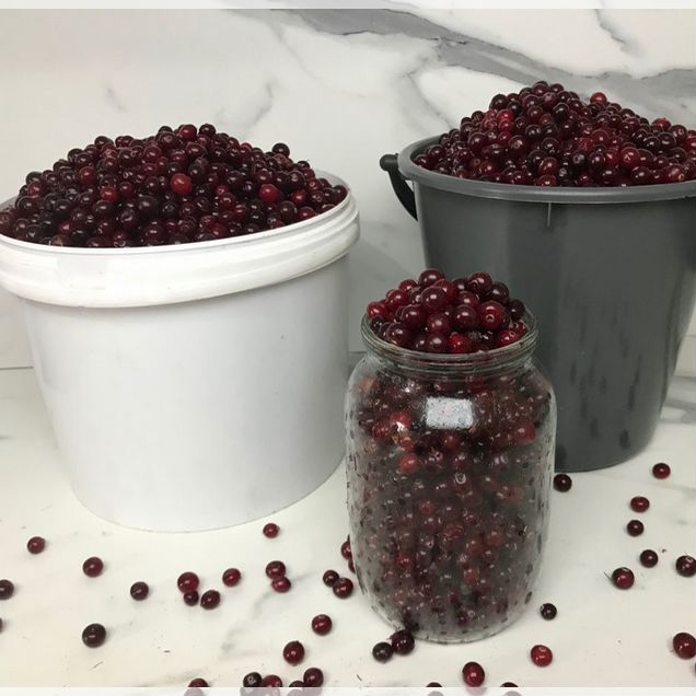 Клюква свежая чищенная, крупная с Архангельска