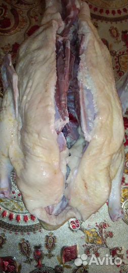 Мясо индейки