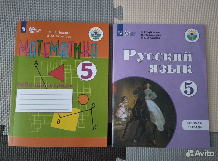 Рабочие тетради для детей с овз 4-5 классы