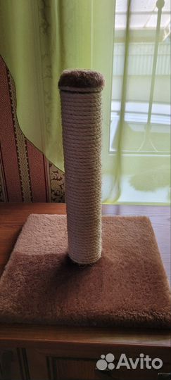 Когтеточка