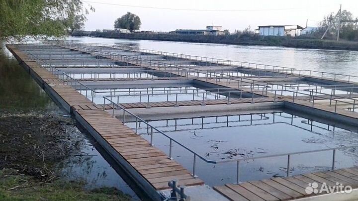 Садковая линия для разведения рыбы