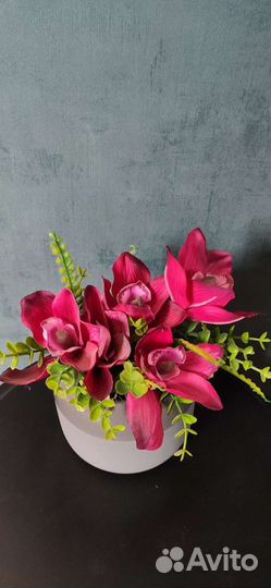 Орхидея в горшке