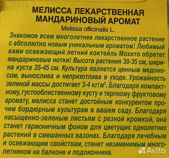 Мелисса ароматная