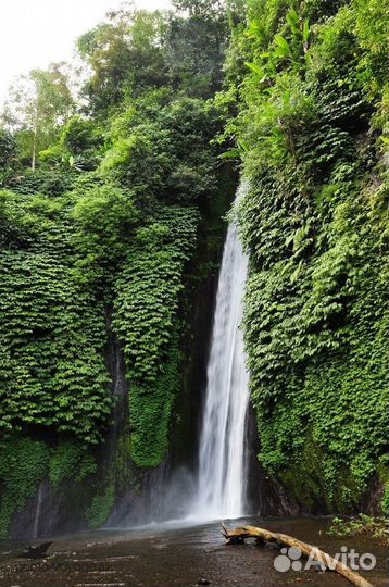 Абахзия из Челябинска, Экскурсионный тур