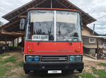 Междугородний / Пригородный автобус Ikarus 256, 1992
