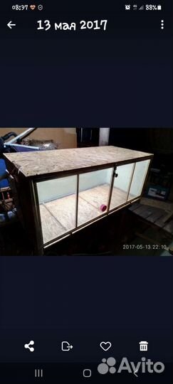 Бруддер для цыплят