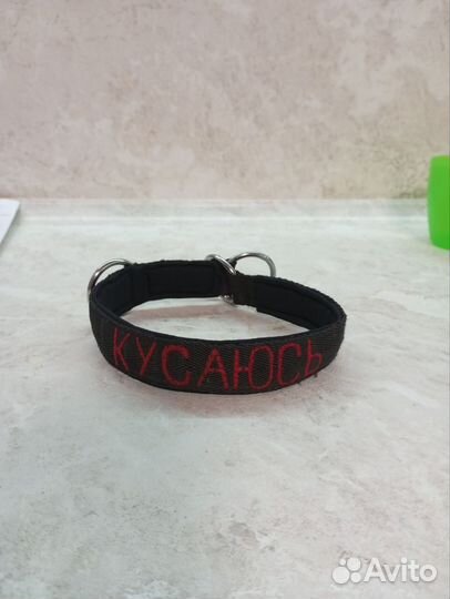 Амуниция для собак на заказ