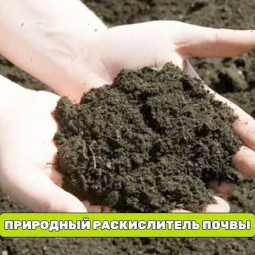 Торф любой объем россыпью