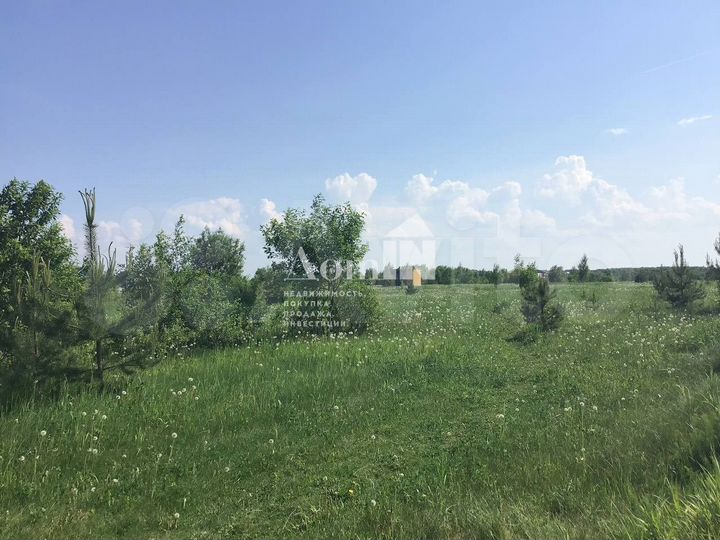 Участок 13,2 сот. (СНТ, ДНП)