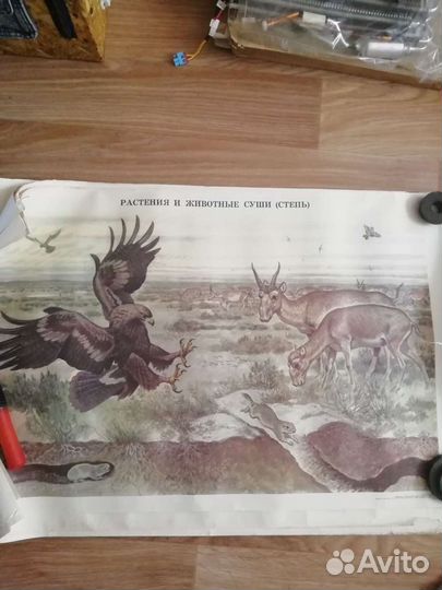 Плакаты СССР сказки