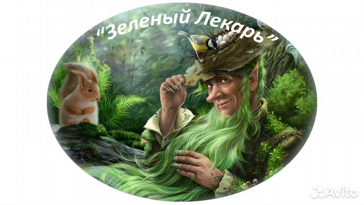 Целебные травы в каждый дом