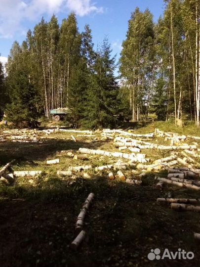 Расчистка участка, спил деревьев, вывоз мусора
