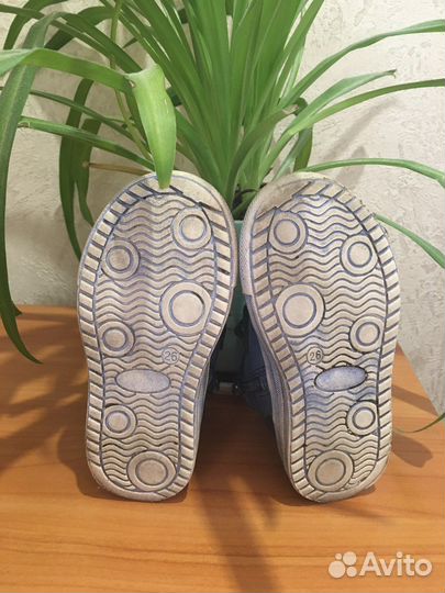 Ботинки кеды