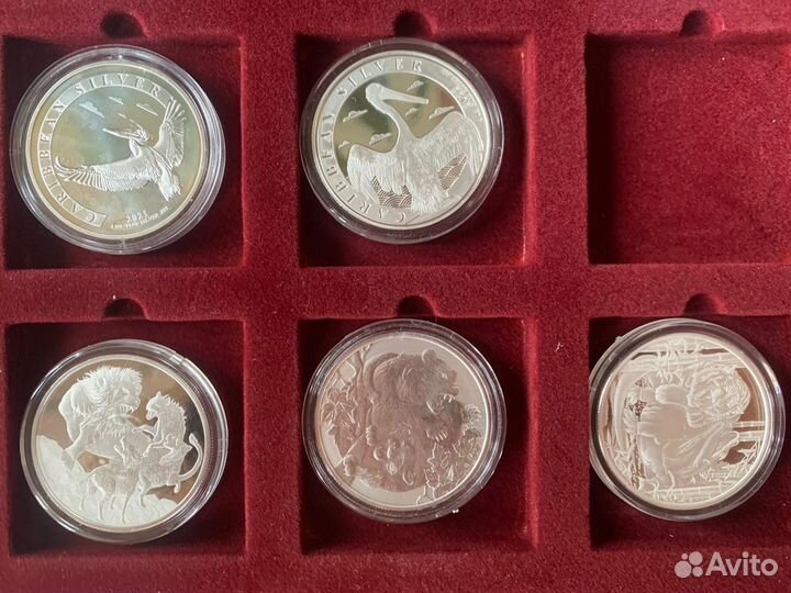 Серебро 2022 год пеликан барбадос хищные животные