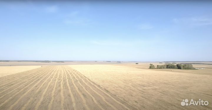 Продается сельскохозяйственное предприятие 7000 га
