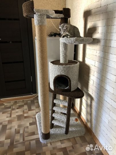 Комплекс для кошки