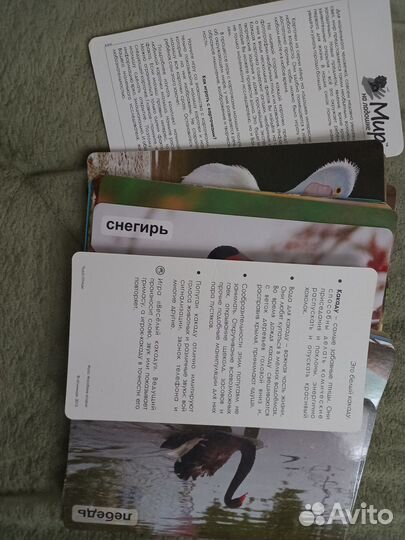 Комплект карточек Умница