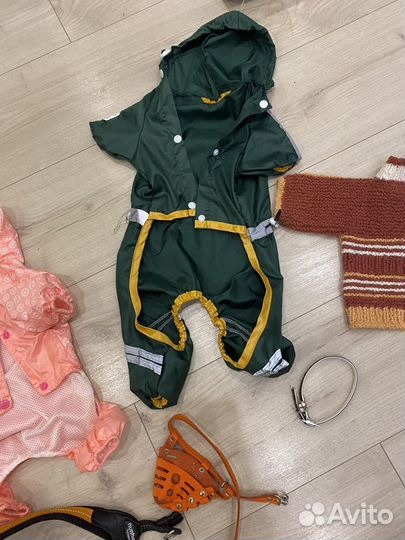 Одежда для маленьких собак бу