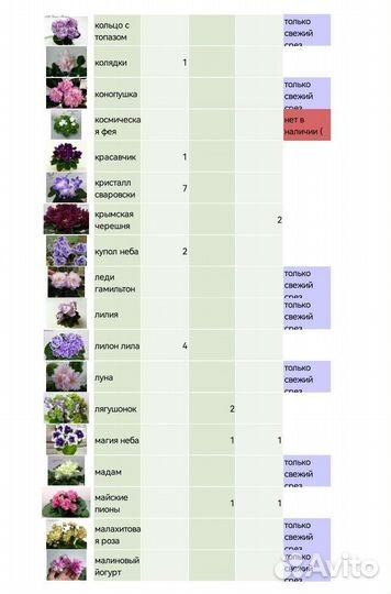 Детки сортовых фиалок