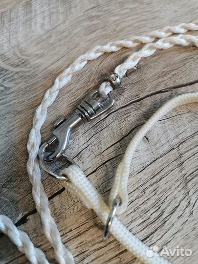 Ринговка для собак