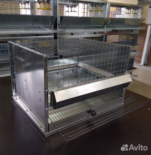 Клетки для перепелов, бройлера и кур несушек