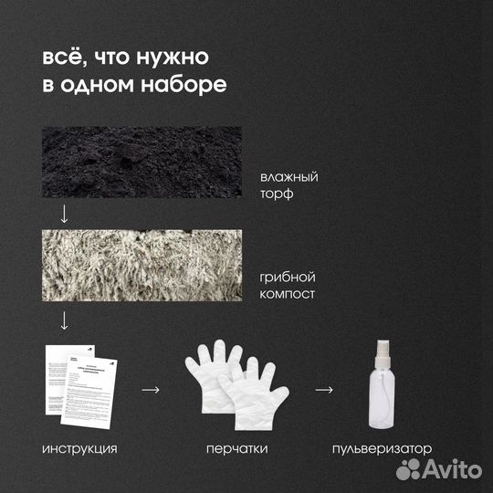 Набор для выращивания шампиньонов. Грибница