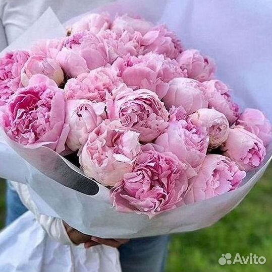 Пионы Букет