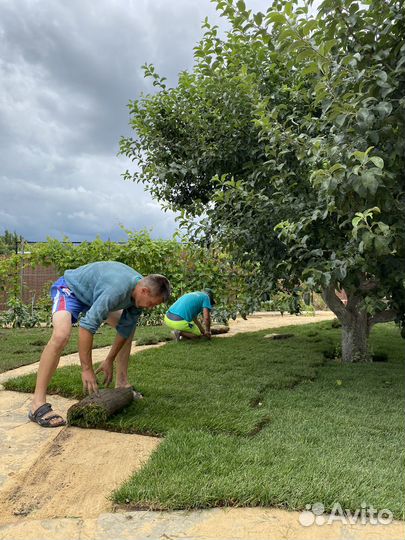 Озеленение и благоустройство