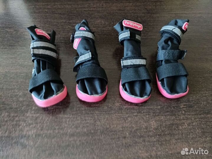 Ботинки для собак