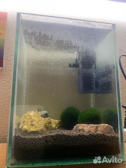 Мини аквариум