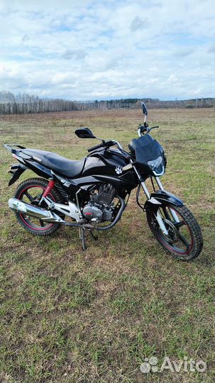 Irbis gs 200
