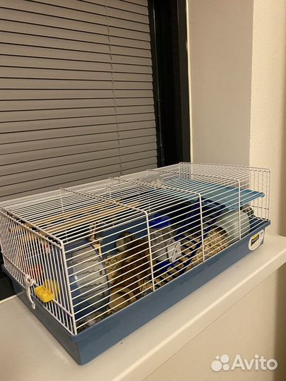 Хомяки с клеткой