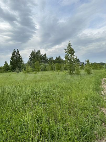 Участок 10,4 сот. (ИЖС)