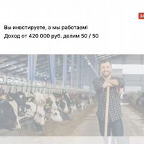 Региональный сельхозпортал в Лисичанске, Северодонецк