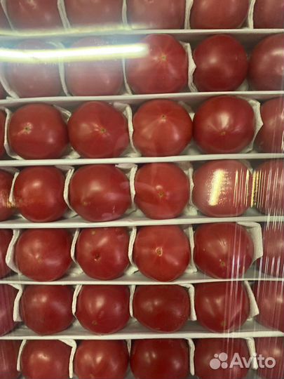 Помидор узбекистан