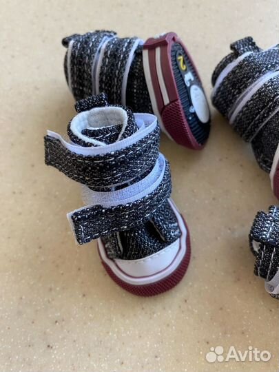 Одежда для собак мелких пород