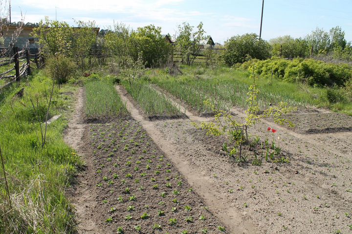 Дом 22 м² на участке 25 сот.