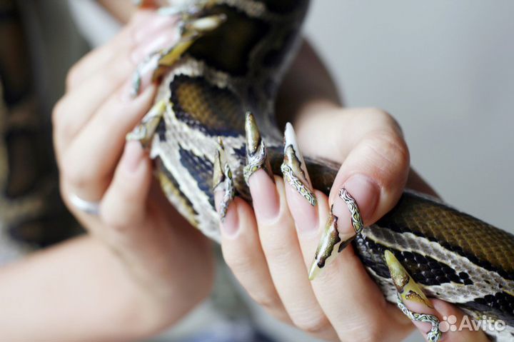 Выползок змеи для ногтевого дизайна и тд