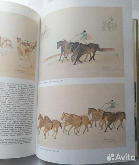 История мирового цирка Доминик Жандо