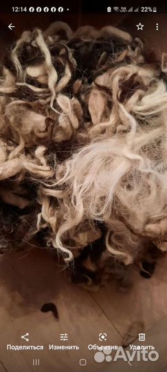 Шерсть овечья