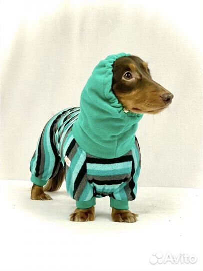 Комбинезон для таксы