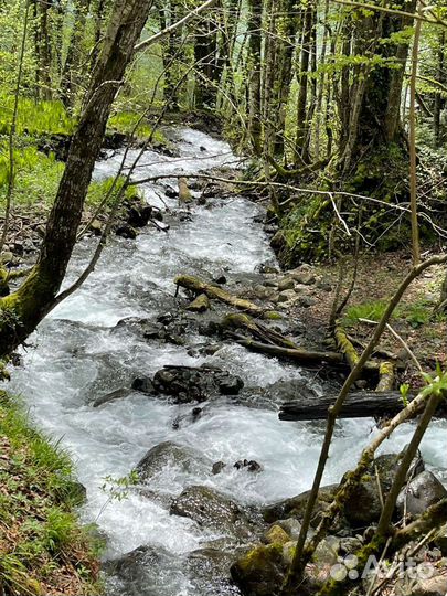 Индивидуальные экскурсии по Абхазии,Сочи, К.Поляне