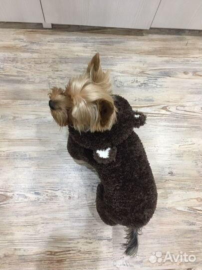 Комбинезон для маленькой собаки