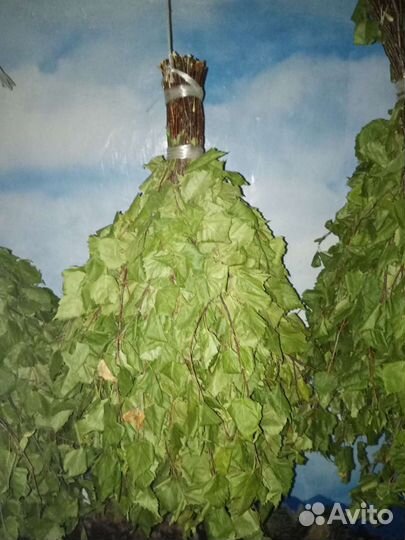 Банные Веники