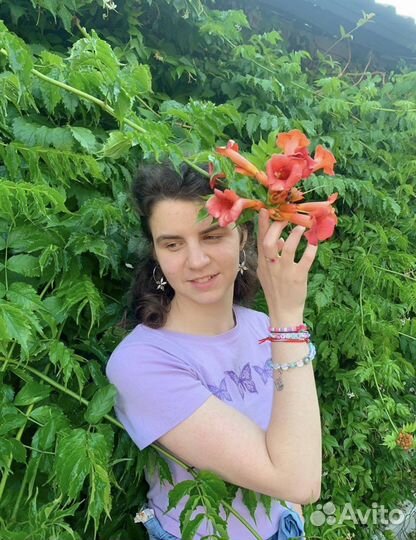 Репетитор по английскому языку онлайн