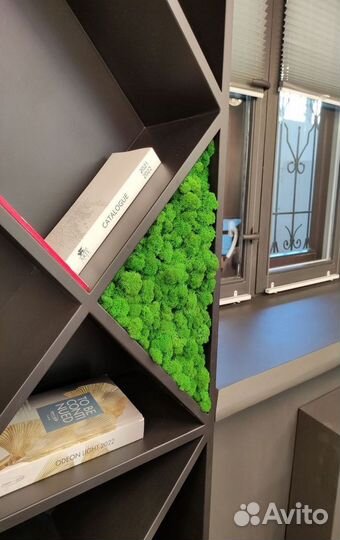 Стабилизированный мох, панно