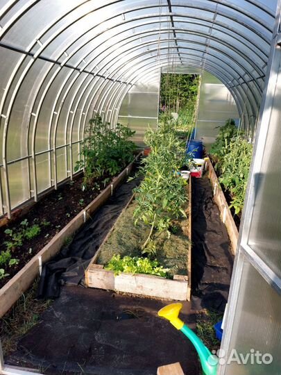 Теплица цена