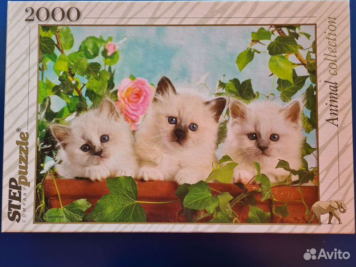 Игра настольная детская