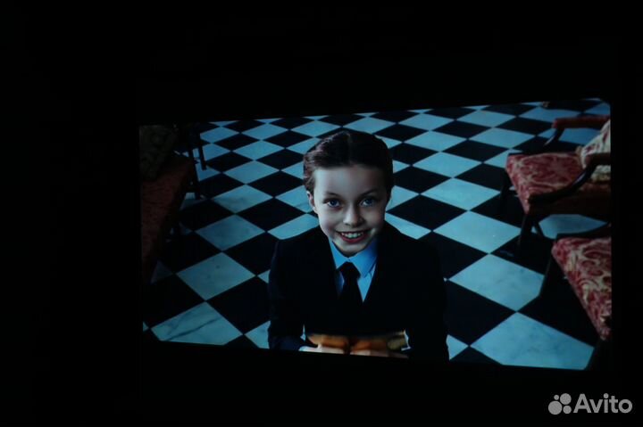 Аренда проектора, экрана, доставка