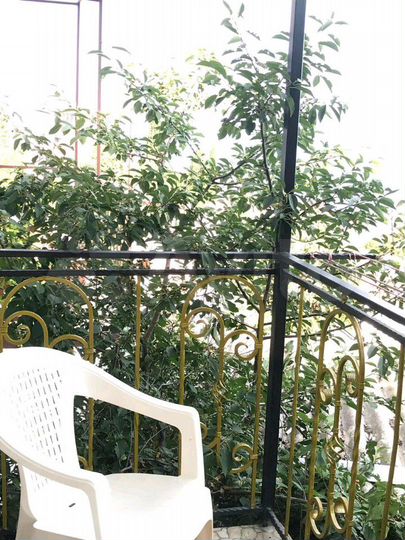 Квартира-студия, 15 м², 1/1 эт.